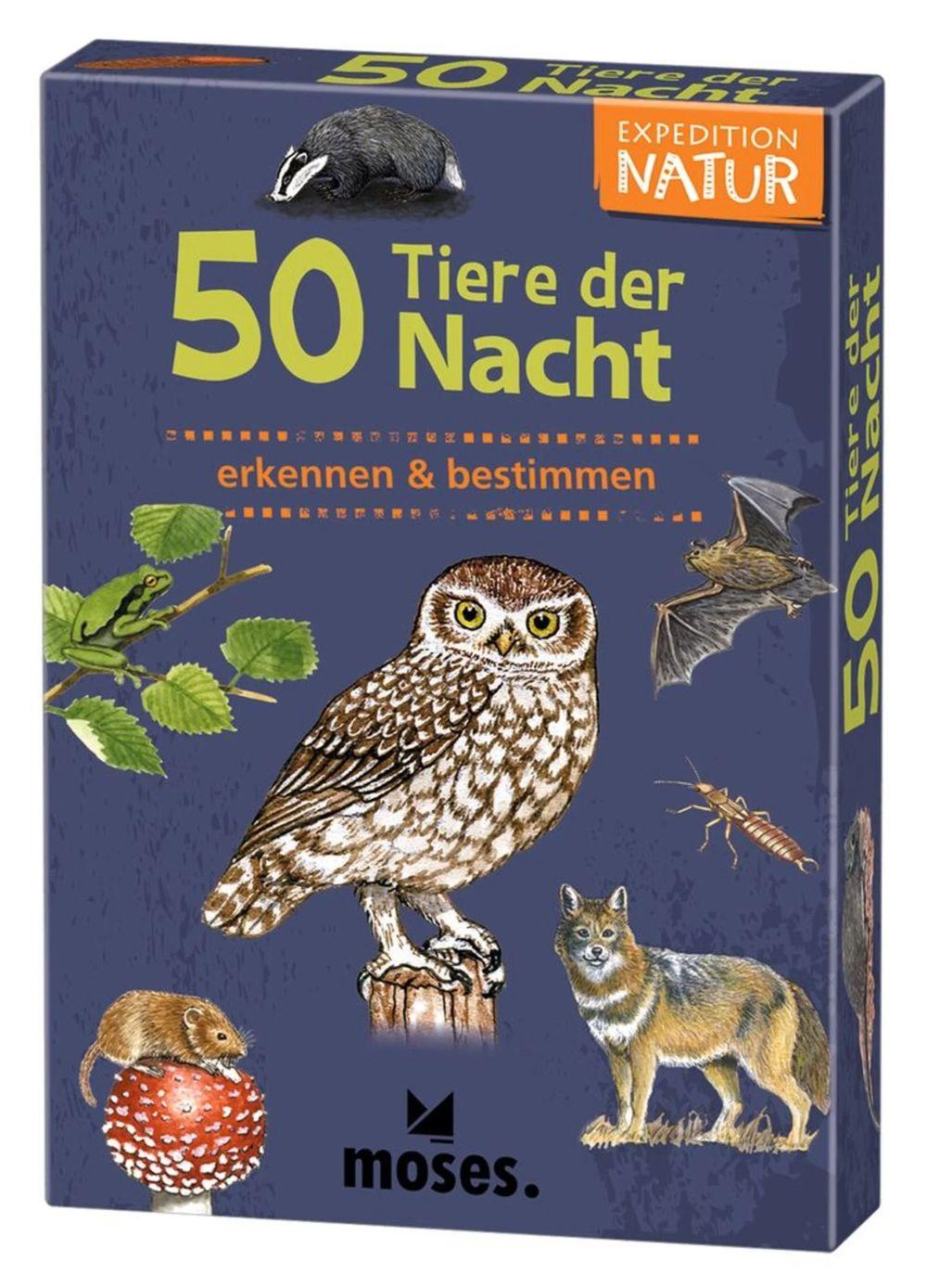 50 Tiere der Nacht