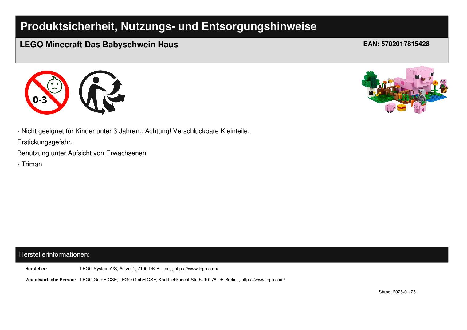 LEGO Minecraft Das Babyschwein Haus