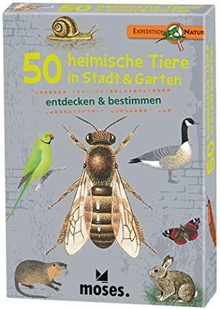 Expedition Natur - 50 heimische Tiere in Stadt und Garten