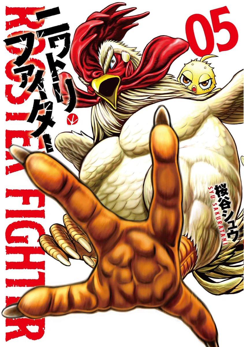 Rooster Fighter 5