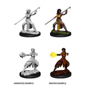 D&D Nolzur's Marvelous Miniatures - Female Half-Elf Monk