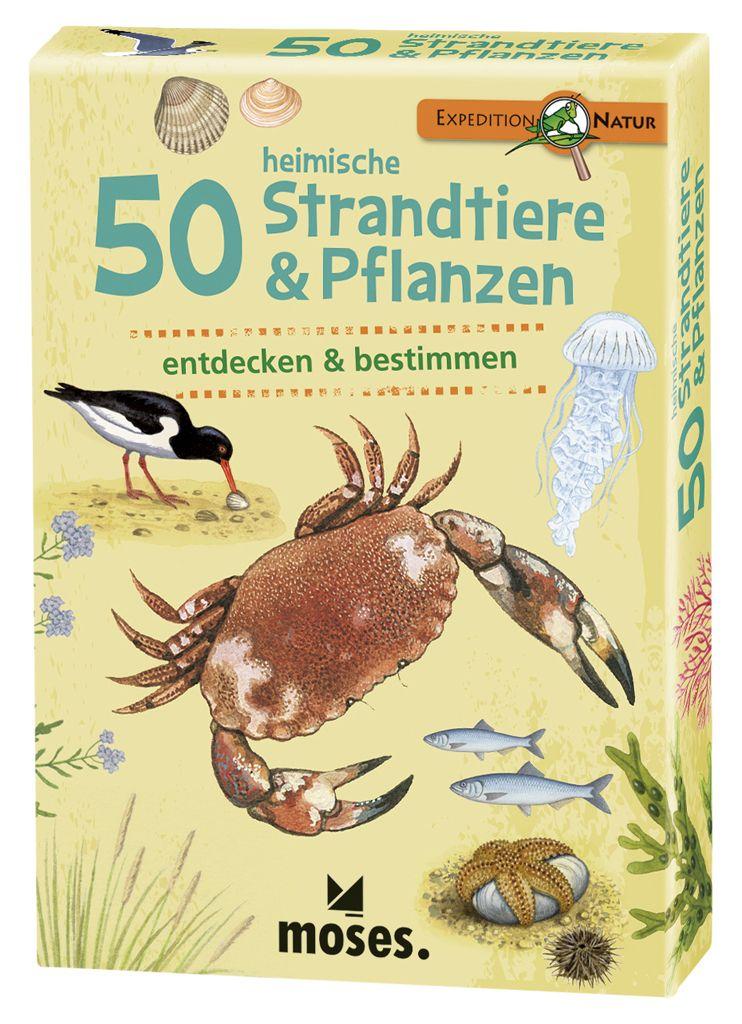 Expedition Natur - 50 heimische Strandtiere & Pflanzen