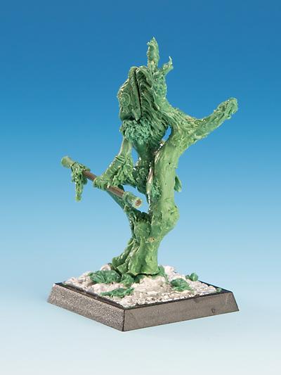 Freebooter Amazonen Tapayaxin