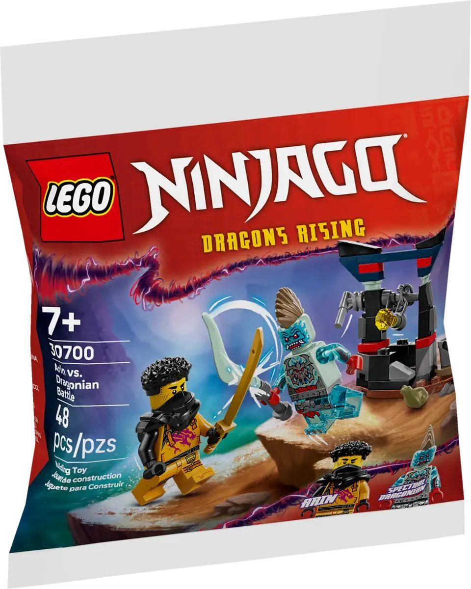 LEGO NINJAGO Arins Duell mit dem Drachenmenschen